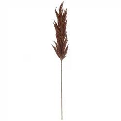 Pampasgræs stilk, brun, 115cm
