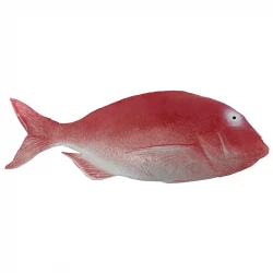 Fisk Havrude, 36cm, kunstig fisk