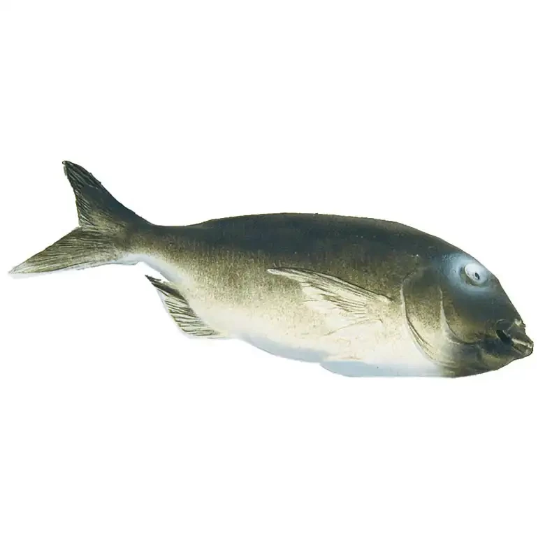 Fisk (Havrude), kunstig dyr