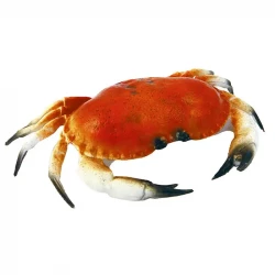 Krabbe (Lille), kunstig dyr