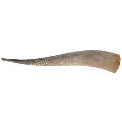 Horn, XL, variable str 55-75cm, ægte horn
