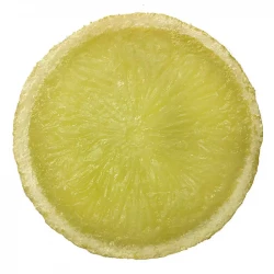 Citroner i skiver, 6 stk, kunstig mad