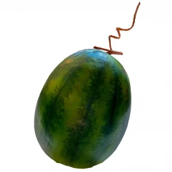 Vandmelon m stilk, 26cm, kunstig frugt