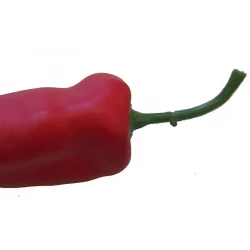 Chili peber, kunstig mad