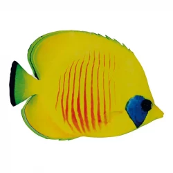 Tropefisk med tryk på begge sider, gul, kunstig fisk