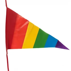 Vimpelranke, regnbue flag, pride, 8m, 14 flag