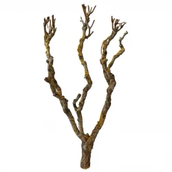 Ægte gren til dekoration 80-100cm