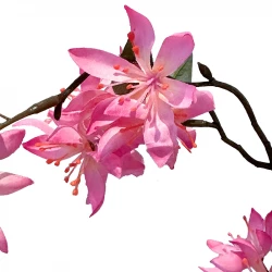 Klematis, pink, 81cm. kunstig blomst