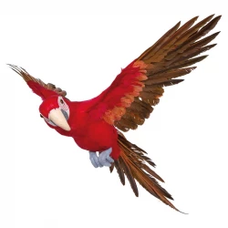 Papegøje flyvende, 73cm, rød, kunstig fugl