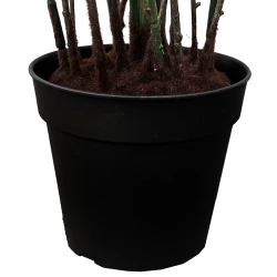 Bregne, UV, 90cm, kunstig plante