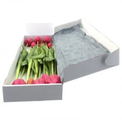 Tulipan gaveæske, 46cm, 12 stk/æske, kunstige blomster