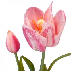 Tulipanbuket, 48cm, pink, kunstige blomster