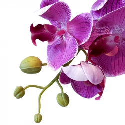 Orkide i potte, H52cm, kunstig blomst