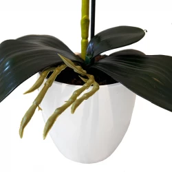 Orkide i potte, H52cm, kunstig blomst
