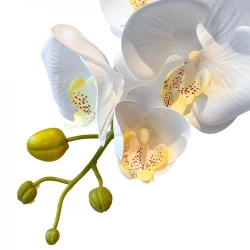 Orkide i potte, kunstig blomst