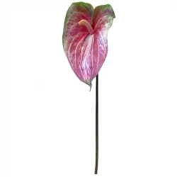 Flamingo blomst, 70cm, kunstig blomst