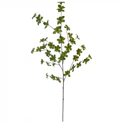Tropaeolum speciosum gren, 115cm, kunstig gren