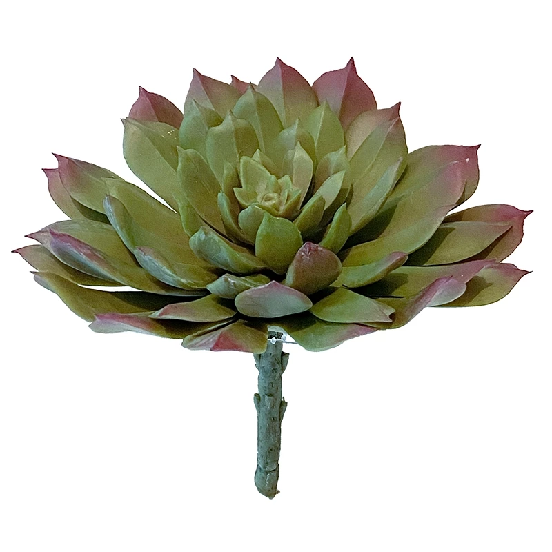 Sukkulent, aeonium, 15cm, kunstig plante