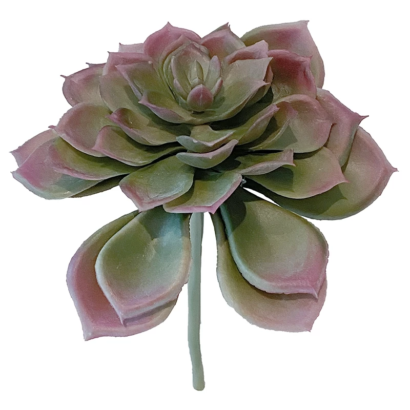 Sukkulent, echeveria, 17cm, kunstig plante