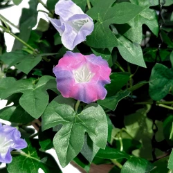 Petunia, hænger i kurv, UV, 45cm, kunstig blomst