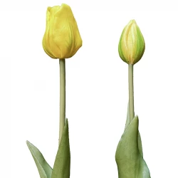 Tulipan gaveæske, 46cm, 12 stk/æske, kunstige blomster