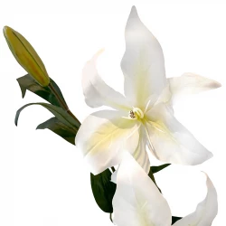 Lilje, hvid, 95cm, kunstig blomst