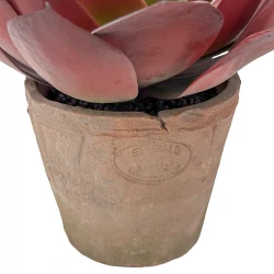 Sukkulent i potte, Echeveria, 20cm, kunstig plante