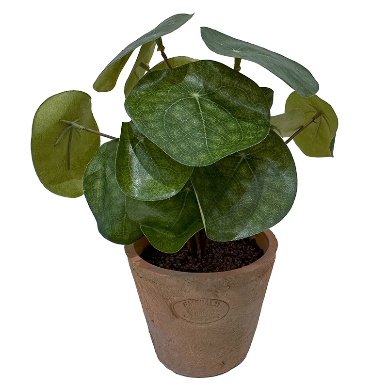 Pilea i krukke, 22cm, kunstig plante