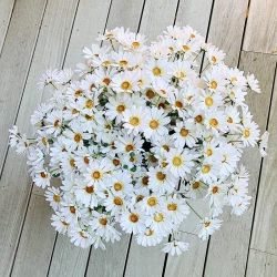 Marguerit m 4 blomster, 78cm, kunstig blomst