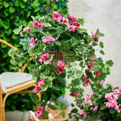 Pelargonie, geranium, hænger i kurv, UV, 45cm, kunstig blomst