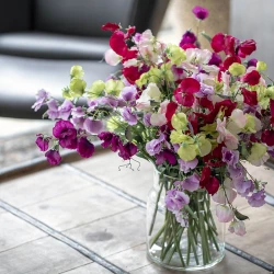 Ærteblomst, 70cm Lys lilla, kunstig blomst