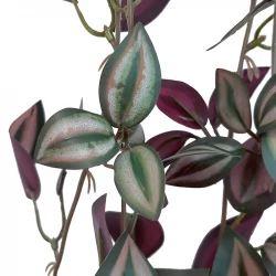 Tradescantia hænger, 85cm, kunstig plante