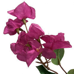 Bougainvillea, 106cm, kunstig gren