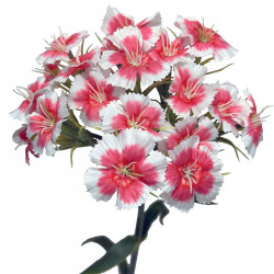 Nellike, 55cm, pink, kunstig blomst