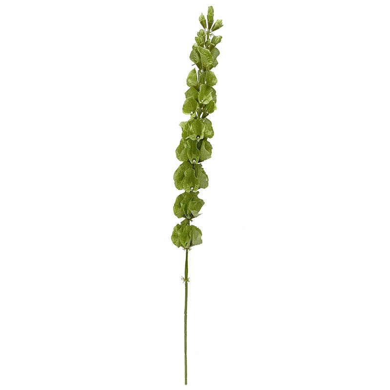 Irlandsklokke, molucella, 80cm, kunstig blomstergren