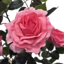 Rose i potte, 56cm, pink, kunstig blomst