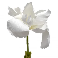 Iris, 103cm, hvid, kunstig blomst