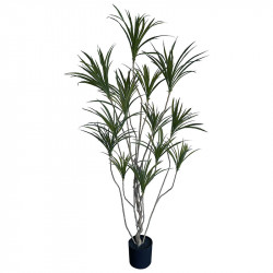 Dracaena i potte, 180cm, kunstig plante