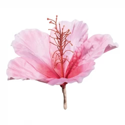 Hibiscus, kunstig blomst 