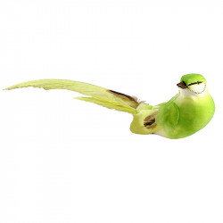 Fugl på klips, 4x24cm, grøn, kunstig dyr