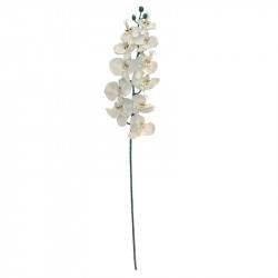 Orkidé på stjälk, 103 cm Crèmefärgad, konstgjord blomma