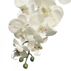 Orkidé på stjälk, 103 cm Crèmefärgad, konstgjord blomma