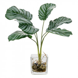 Calathea-växt i glaskruka, 35 cm, konstgjord växt