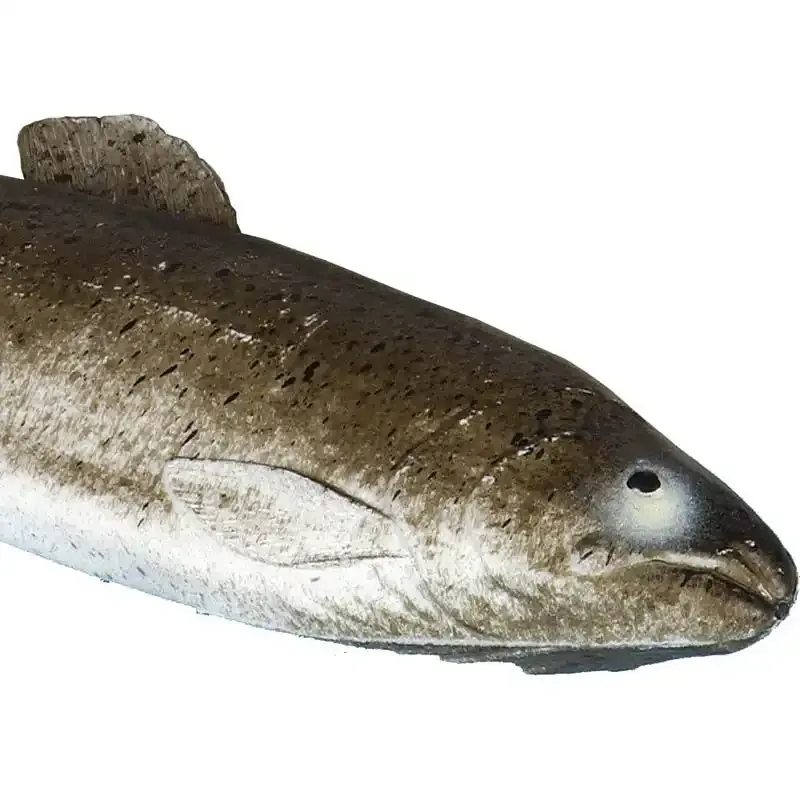 Ørred, kunstig fisk til dekoration - kunstige fødevarer