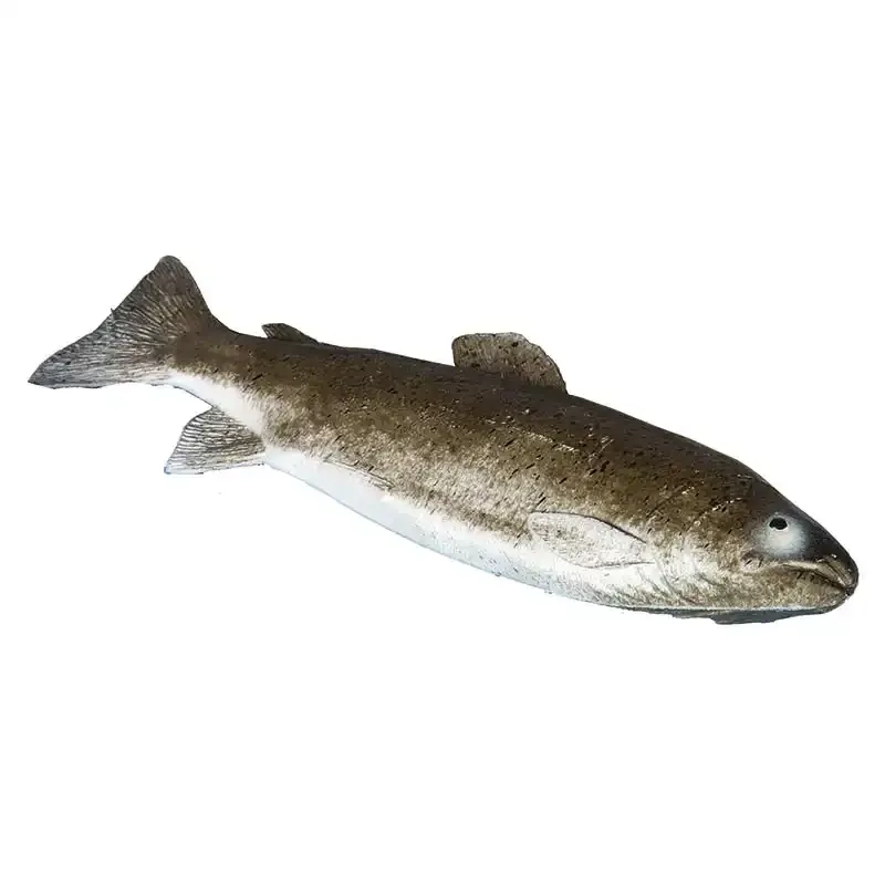 Ørred, kunstig fisk til dekoration - kunstige fødevarer