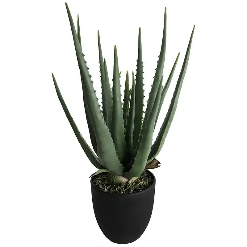 Buy Aloe vera plante i potte, 40cm, kunstig plante