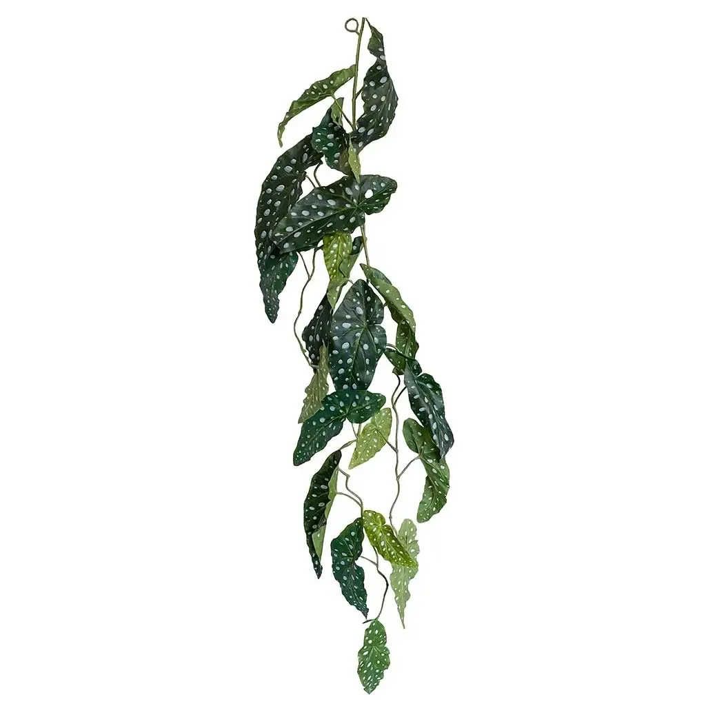 Buy Begonia maculata bladranke, L120cm, kunstig