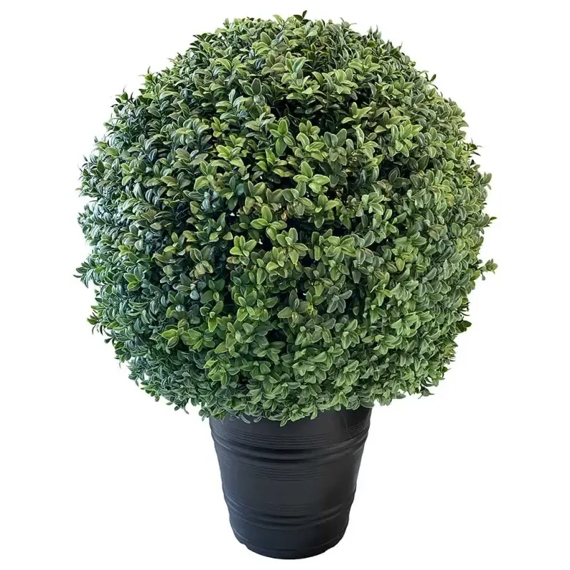 Buy Buksbom i potte, Ø50cm, UV, kunstig plante