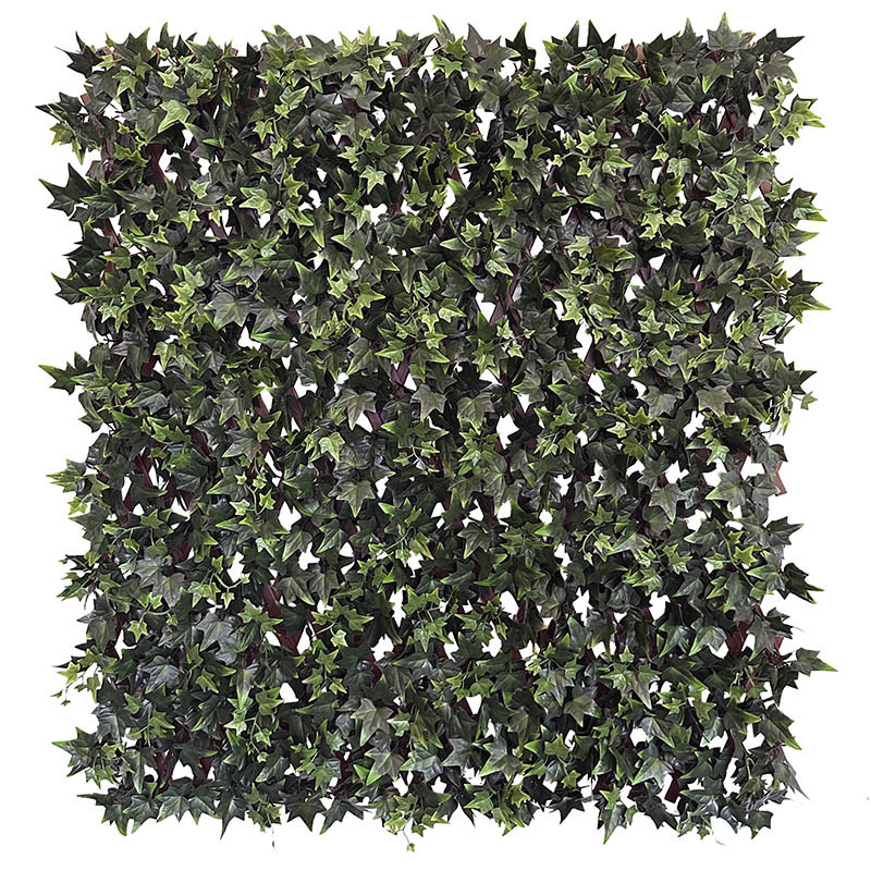 Buy Espalier, UV, efeu, kunstig plante