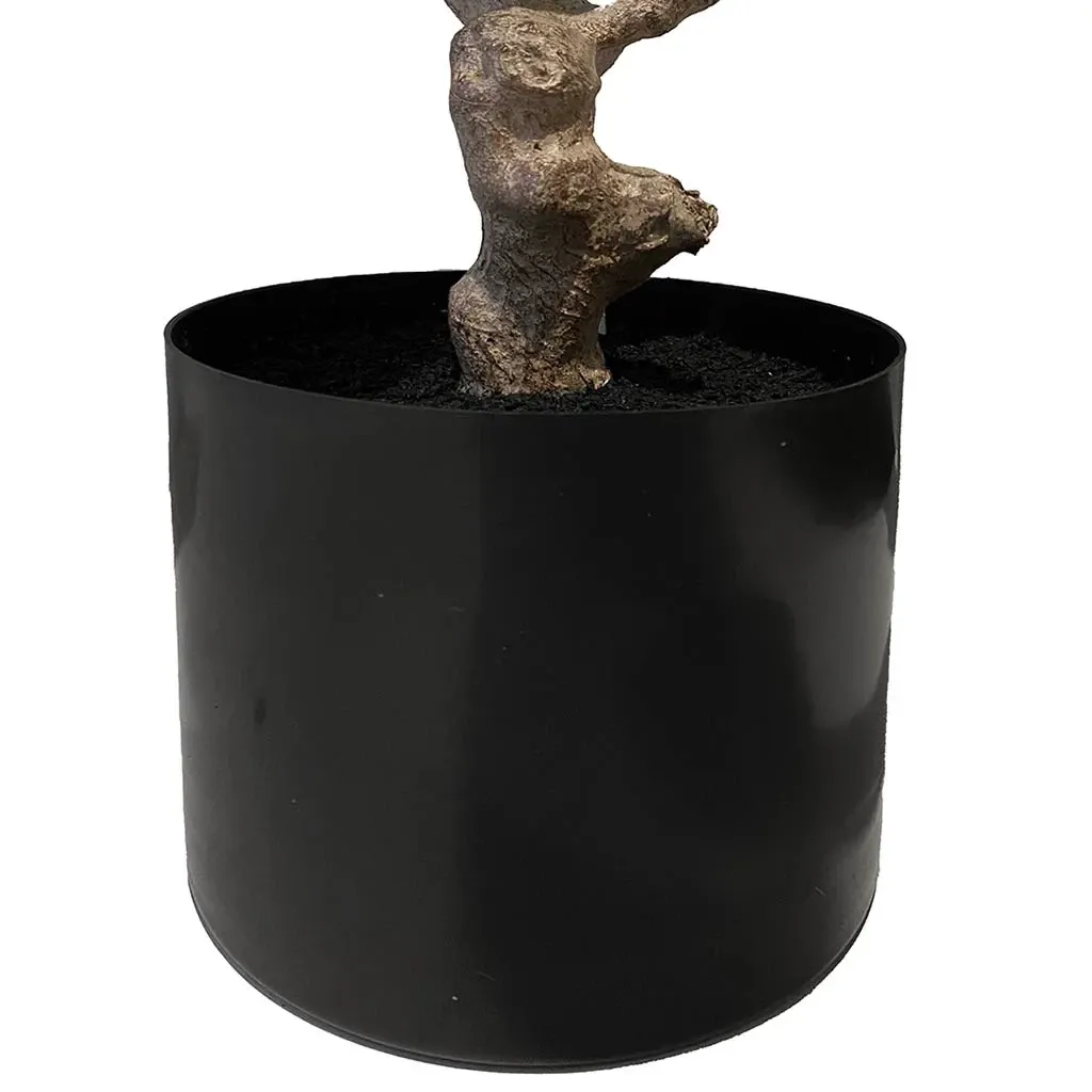Buy Figentræ i potte, 80cm, kunstig plante